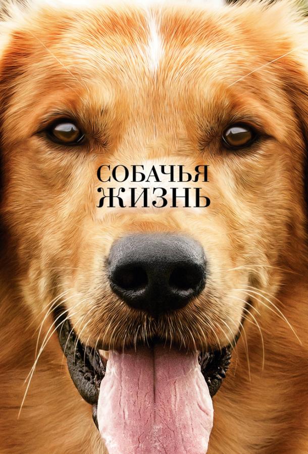 Фильм Собачья жизнь 2017 смотреть онлайн с актёрами Габриель Роз и Люк Кирби